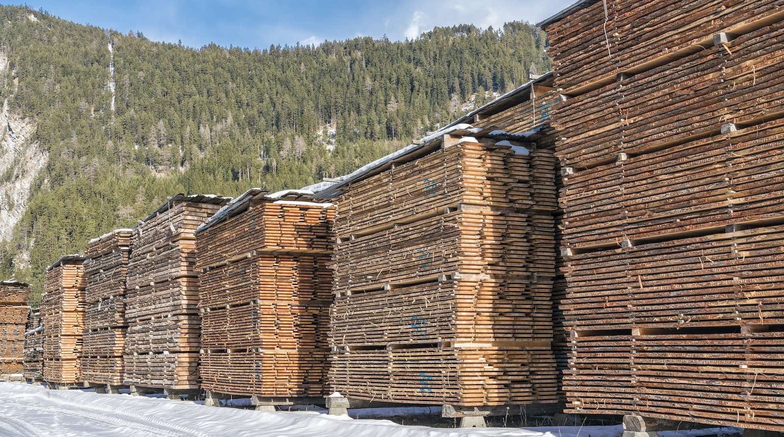 A lumberyard in winter, prone to the effects of climate change