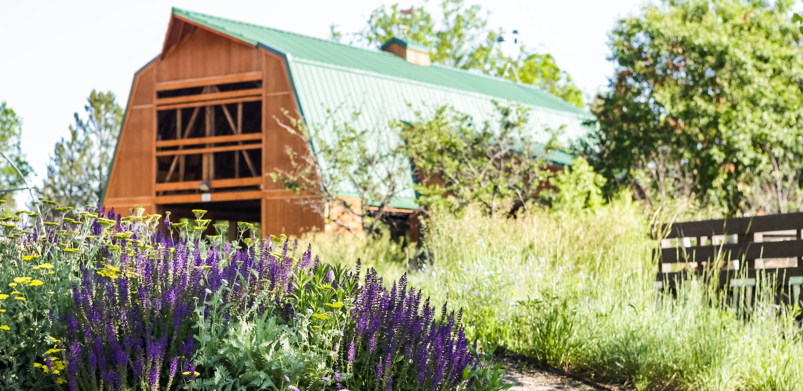 building an accessory structure such as a barn in california